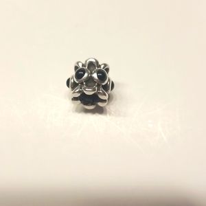 RETIRED pandora charm